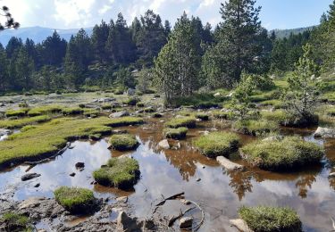 Percorso Marcia Les Angles - balade des 12 lacs  depuis le lac de bouilloires  - Photo