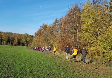 Tour Wandern Bouresches - Bouresches du 22/11/2019 - Photo