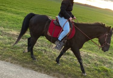 Tour Reiten Domèvre-sur-Vezouze - Repérage avec julie rando du 6 mars equiplaine - Photo