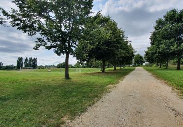 Trail Walking Eauze - Le Chemin des Moulins  - Photo