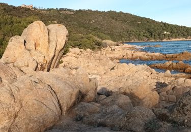 Percorso Marcia Ramatuelle - cap Camarat-golfe St Tropez-03-12-21 - Photo