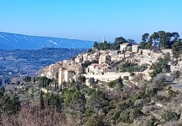 Trail Walking Bonnieux - Autour de Bonnieux  - Photo