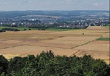 Randonnée A pied Limbourg-sur-la-Lahn - Südroute Limburg - Photo