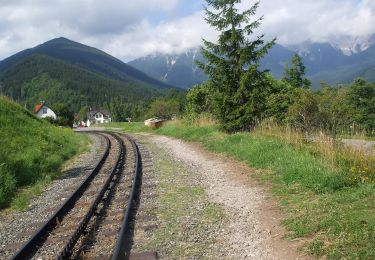 Excursión A pie Gemeinde Puchberg am Schneeberg - Puchberg Laufstrecke 3 - Photo