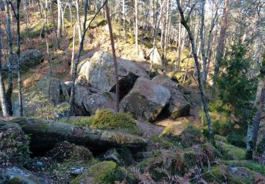 Trail Walking Fontainebleau - viennes carosses - Photo
