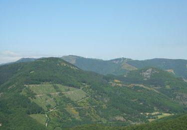 Tour Zu Fuß Peux-et-Couffouleux - Le sommet du Merdélou par Saint-Méen - Photo