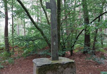 Excursión Senderismo Le Gâvre - forêt du Gavre - Photo