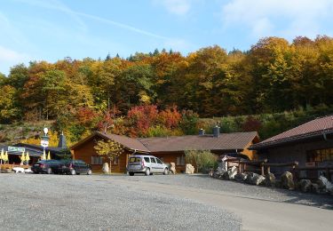 Excursión A pie Bockenau - DVV Durch die Bockenauer Schweiz - Photo