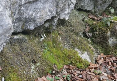 Tocht Te voet Laussa - Rundweg Hölleiten - Photo