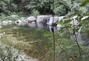 Trail Walking Amélie-les-Bains-Palalda - AMELIE STA ENGRACIA - Photo