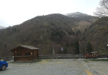 Tocht Te voet Occhieppo Superiore - IT-D51 - Photo