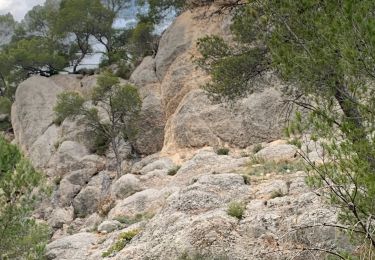 Trail Walking Le Tholonet - Le tolonet - Photo
