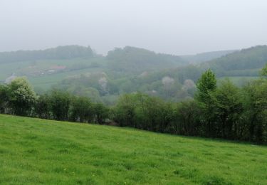 Excursión Senderismo Verviers - Stembert--château des moines-cossart - Photo