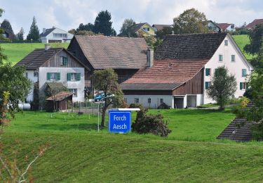 Tour Zu Fuß Maur - Ebmatingen - Forch - Photo