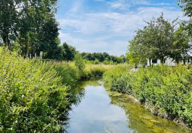 Randonnée Marche Linter - La vallée de la Grande Gette à Linter - Photo