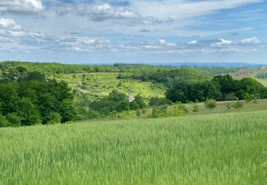 Trail sport Cazes-Mondenard - Tissac pr3  - Photo