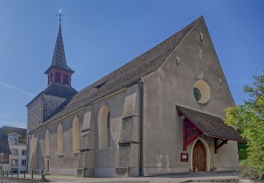 Excursión A pie Oberweningen - Kaiserstuhl Bahnhof - Oberweningen-Schöfflisdorf - Photo