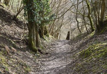 Percorso A piedi Tandridge - Woldingham Countryside Walk - Photo