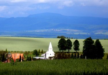 Excursión A pie okres Prešov - Pútnický chodník - Photo