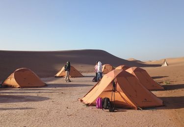Tour Wandern M'Hamid El Ghizlane ⵎⵃⴰⵎⵉⴷ ⵍⵖⵯⵣⵍⴰⵏ امحاميد الغزلان - Campement 1 au Campement 2 - Photo