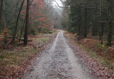 Trail Walking Spa - creppe - Photo