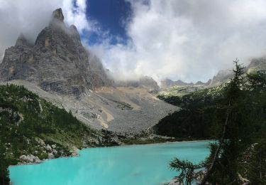 Randonnée A pied Auronzo di Cadore - IT-217 - Photo