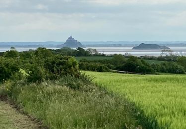 Tour Wandern Dragey-Ronthon - Le Bec d’Andaine - Photo