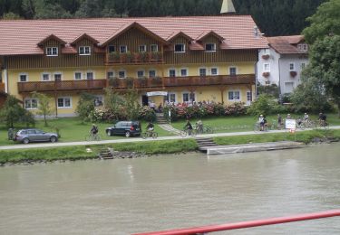 Randonnée A pied Haibach ob der Donau - Es muss sein - Weg - Photo