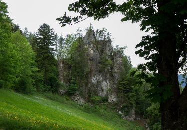 Tocht Te voet Sankt Ulrich bei Steyr - Wanderweg 11 - Photo