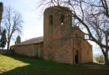 Randonnée A pied Pienza - Ammannati - Photo