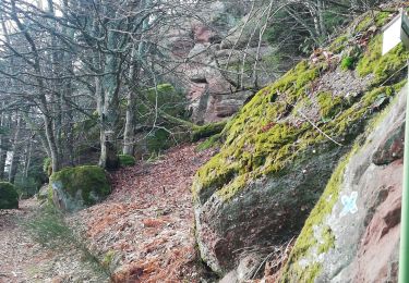 Randonnée Marche Ottrott - vue sur ottrott - Photo