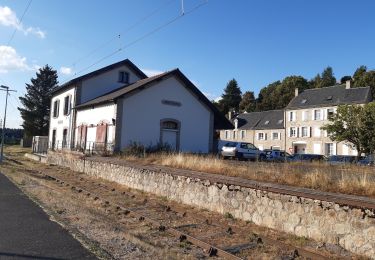 Trail Walking Peyre en Aubrac - GR65 j1 Aumont Aubrac - Photo