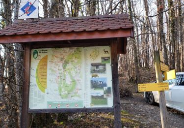 Tocht Stappen La Sure en Chartreuse - Rochebrune T - Photo