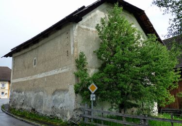 Randonnée A pied Sankt Michael im Lungau - Wanderweg 91, Hollerberger Rundwanderweg - Photo