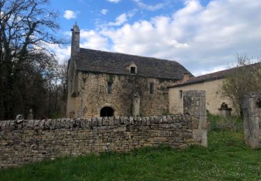 Trail Mountain bike Caylus - VTT Caylus 37km 700D+ - Photo