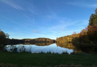 Trail Horseback riding Florenville - Les Epioux - Photo