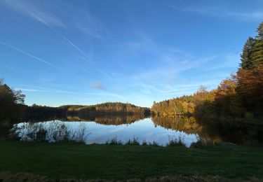 Randonnée Randonnée équestre Florenville - Les Epioux - Photo