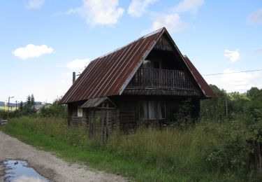 Trail On foot Rzepedź - Jawornik - Wahalowski Wierch - Photo