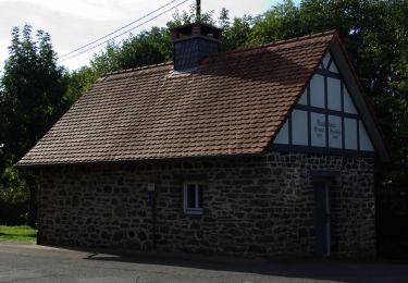 Tour Zu Fuß Schotten - Rundwanderweg Wingershausen W1 - Photo