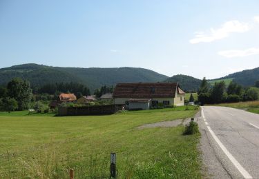 Tour Zu Fuß Kumberg - Wanderweg 24 - Photo