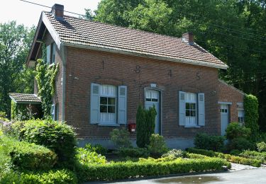 Randonnée A pied Lommel - Blauwe Kei Rode driehoek - Photo