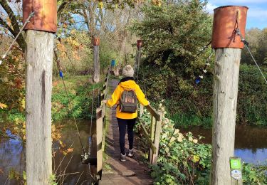 Percorso Marcia Malines - Mechels Broek  - Photo