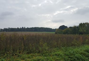 Tour Zu Fuß Halen - Kartuizerspatiamentum Oranje bol - Photo