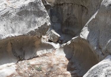 Trail Walking Ollioules - Gorges de Destel - Photo