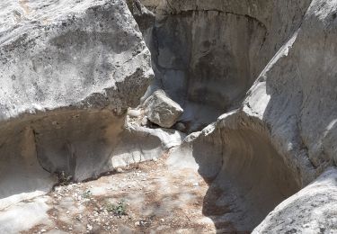 Tour Wandern Ollioules - Gorges de Destel - Photo