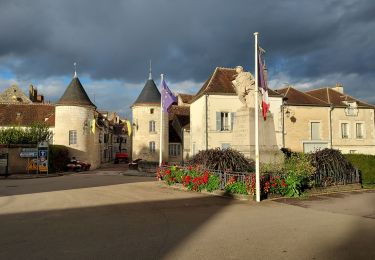 Tour Wandern Chablis - Chablis 231105 - Photo