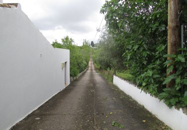 Randonnée A pied Querença, Tôr e Benafim - Serra e Montes - Photo