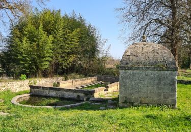 Tour Wandern Salinelles - Salinelles-Souvignargues-Fontanes - Photo