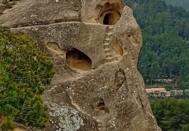 Trail Walking Beaumes-de-Venise - rocalinaud - Photo