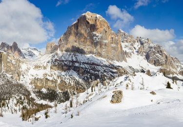 Trail On foot Cortina d'Ampezzo - IT-402 - Photo